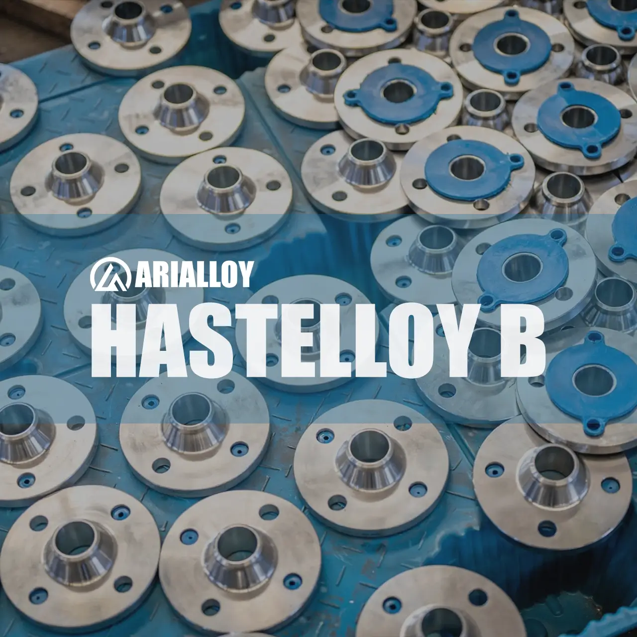 Arialloy custom hastelloy b flange fitting
