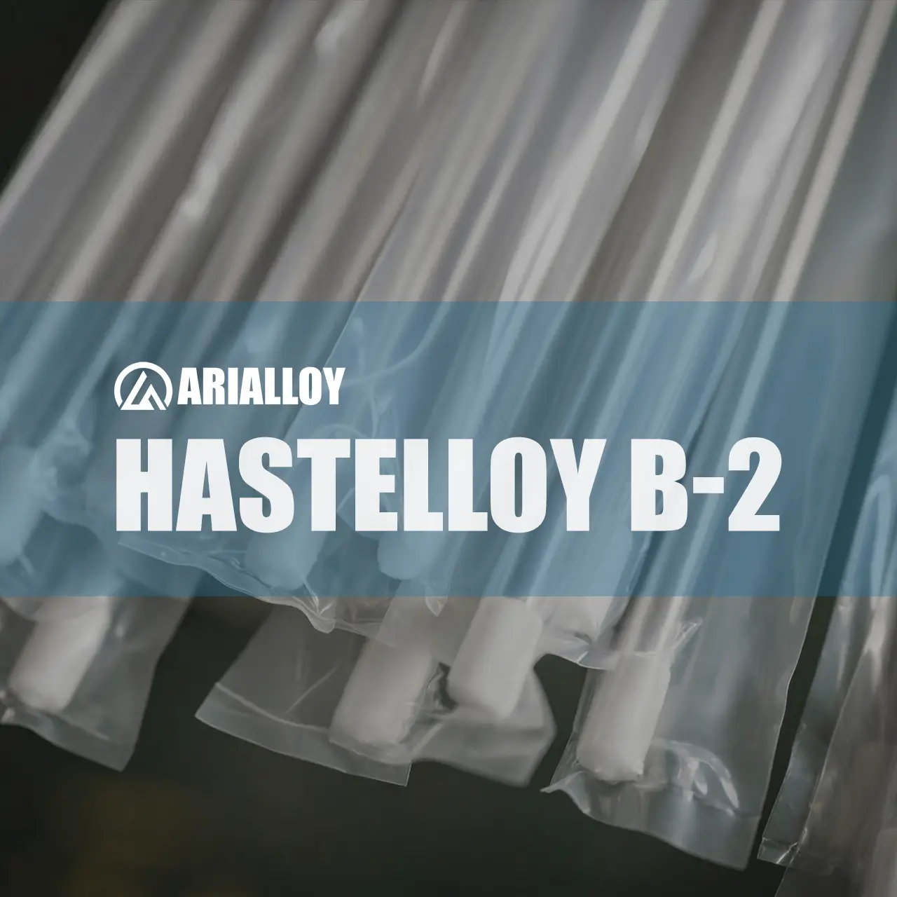 hastelloy b-2 capillary tubing Arialloy